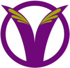 Vessel for Development V4Dev Logo Cameroon Association